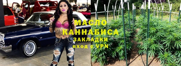 дмт Абаза