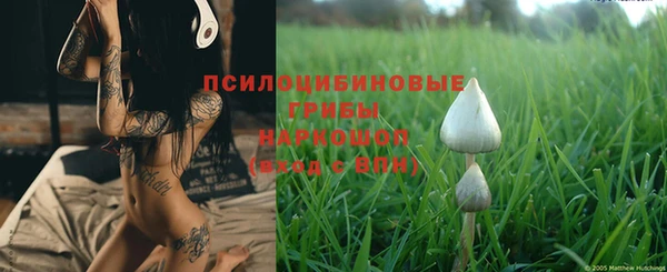 ПСИЛОЦИБИНОВЫЕ ГРИБЫ Абинск
