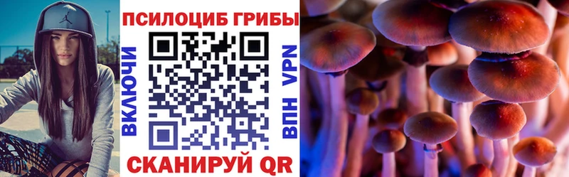 Галлюциногенные грибы Magic Shrooms  Правдинск 